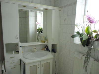 http://www.nuesslein-immobilien.at/data/image/thumpnail/image.php?image=200/nuesslein_immobilien_article_3727_2.jpg&width=400