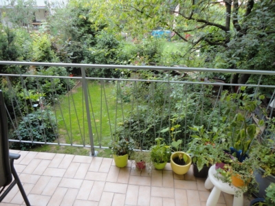 http://www.nuesslein-immobilien.at/data/image/thumpnail/image.php?image=200/nuesslein_immobilien_article_3908_1.jpg&width=400