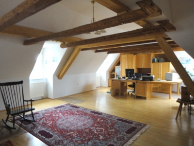 http://www.nuesslein-immobilien.at/data/image/thumpnail/image.php?image=200/nuesslein_immobilien_article_4096_3.jpg&width=400